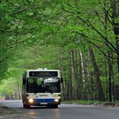 Mercedes O405N #2092