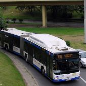MAN NG313 CNG #2207