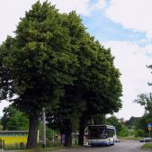 Neoplan K4016 #5062