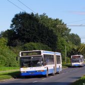 Neoplan N4021 #5241