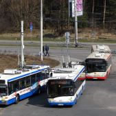 Solaris Trollino 12M #3010