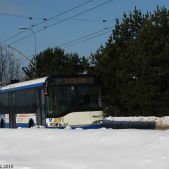 Solaris Trollino 12AC #3081