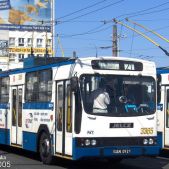 Jelcz 120MT #3365
