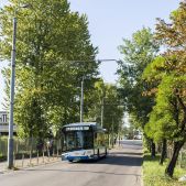 Solaris Trollino 12 #3014