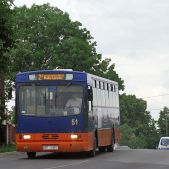 Jelcz 120M #51