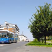 Jelcz M181MB #DD482