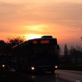 Jelcz M181MB #DD466