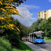Jelcz M181MB #DD465