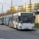Jelcz M181MB #DD414
