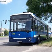 Jelcz M181MB #DD463