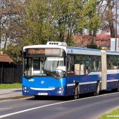 Jelcz M181MB #DD481