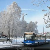 Jelcz M181MB #DD483