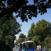Jelcz M181MB #DD462