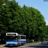 Jelcz M181MB #DD438