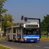 Jelcz M181MB #DD443