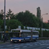 Jelcz M181MB #DD446