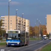 Jelcz M181MB #DD455