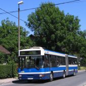 Jelcz M181MB #DD455
