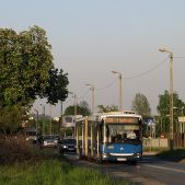 Jelcz M181MB #DD462