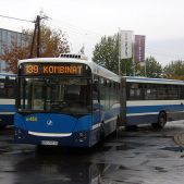 Jelcz M181MB #DD464