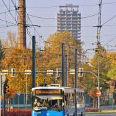 Jelcz M181MB #DD465