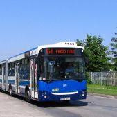 Jelcz M181MB #DD467