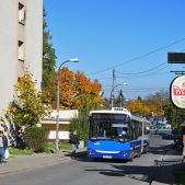 Jelcz M181MB #DD474