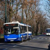 Jelcz M181MB #DD476