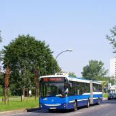 Jelcz M181MB #DD482