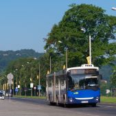 Jelcz M181MB #DD486
