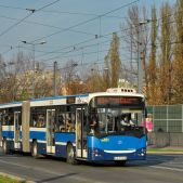 Jelcz M181MB #DD481