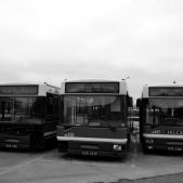 Jelcz M181MB #DD433