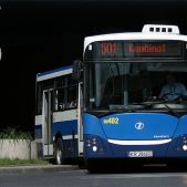 Jelcz M181MB #DD482