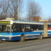 Jelcz M181MB #DD446