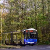 Jelcz M181MB #DD481