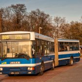 Jelcz M181MB #DD436