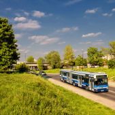 Jelcz M181MB #DD443