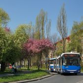 Jelcz M181MB #DD461