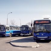 Jelcz M181MB #DD463