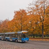 Jelcz M181MB #DD473