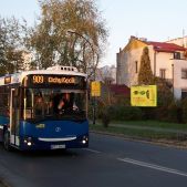 Jelcz M181MB #DD478
