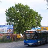 Jelcz M181MB #DD481