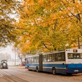 Jelcz M181MB #DD482