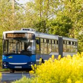 Jelcz M181MB #DD487