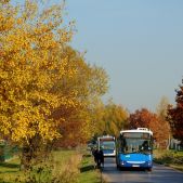 Jelcz M181MB #DD489