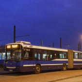 Jelcz M181MB #DD491
