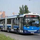 Jelcz M181MB #DD475