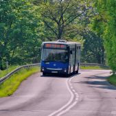 Jelcz M181MB #DD486