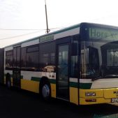 MAN NG313 #504