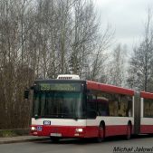 MAN NG313 #503
